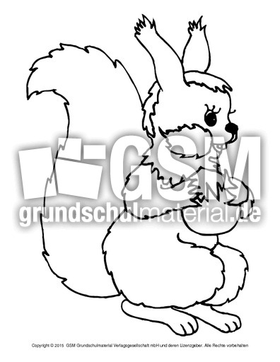 Ausmalbild-Eichhörnchen-A 2.pdf